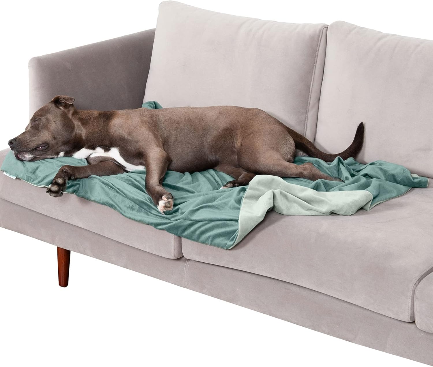 Furhaven Extra Large Waterproof Velvet Throw Blanket for Dogs and Indoor Cats, Washable Two-Tone Design in Celadon Green