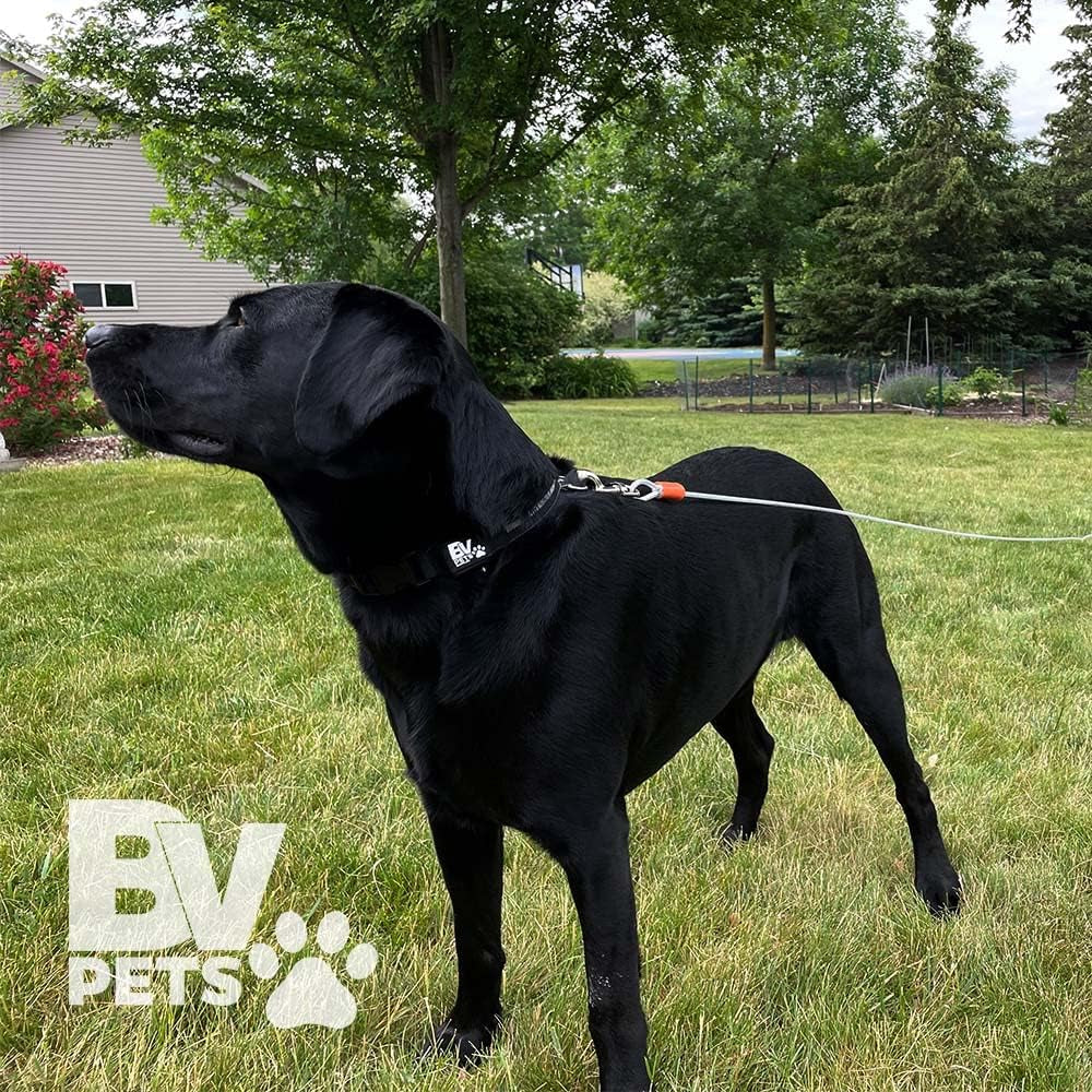 BV Heavy-Duty 25-Foot Dog Tie-Out Cable for Dogs up to 90 Pounds - Reflective, Rust-Resistant with Quick Release Swivel Clips and 360° Rotating Clasp - Tangle-Free Runner for Yard (Silver, Single)