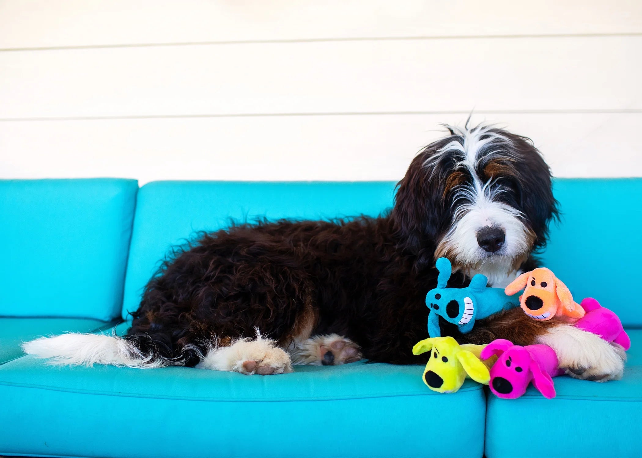 Plush Loofa Dog Toy with Squeaker, 12"