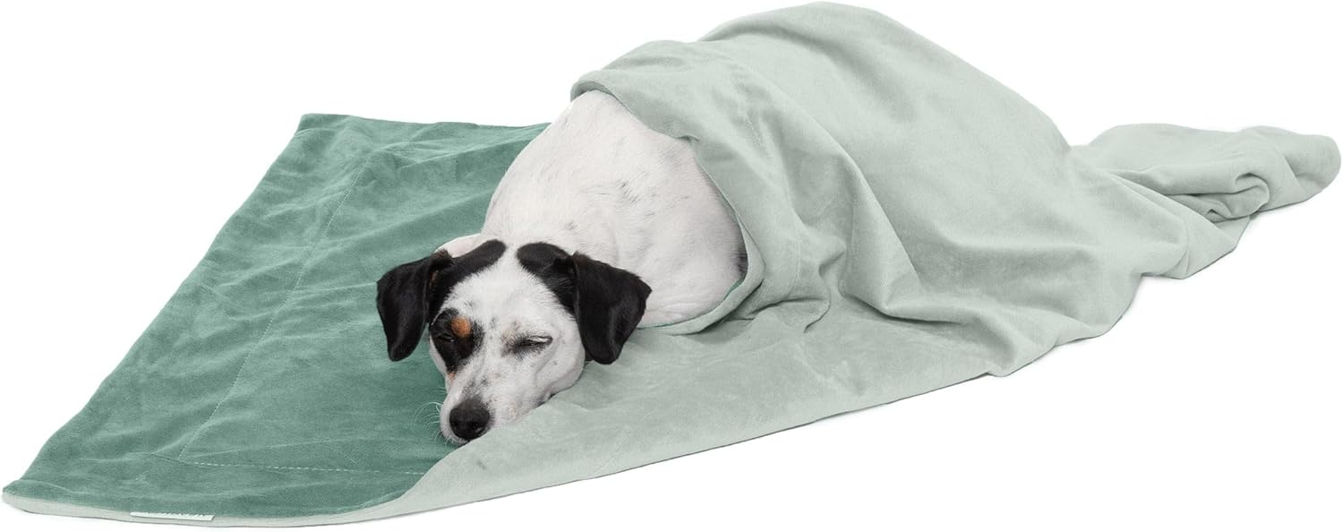 Furhaven Extra Large Waterproof Velvet Throw Blanket for Dogs and Indoor Cats, Washable Two-Tone Design in Celadon Green
