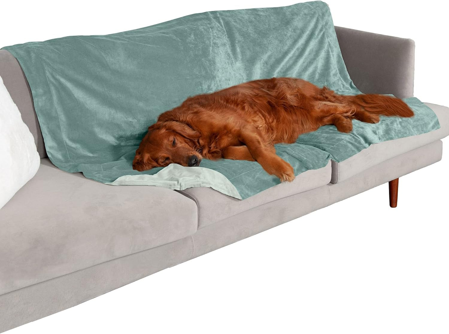 Furhaven Extra Large Waterproof Velvet Throw Blanket for Dogs and Indoor Cats, Washable Two-Tone Design in Celadon Green