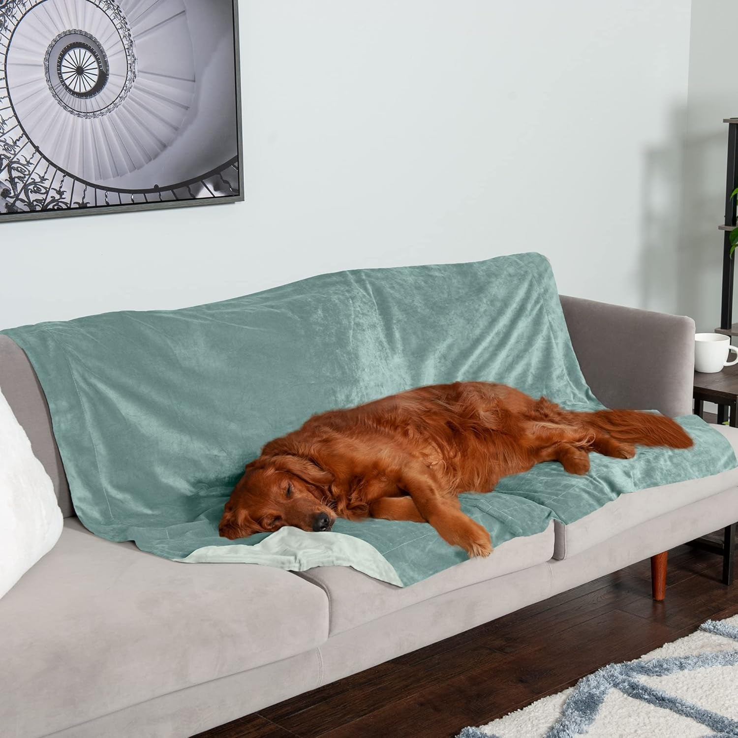 Furhaven Extra Large Waterproof Velvet Throw Blanket for Dogs and Indoor Cats, Washable Two-Tone Design in Celadon Green