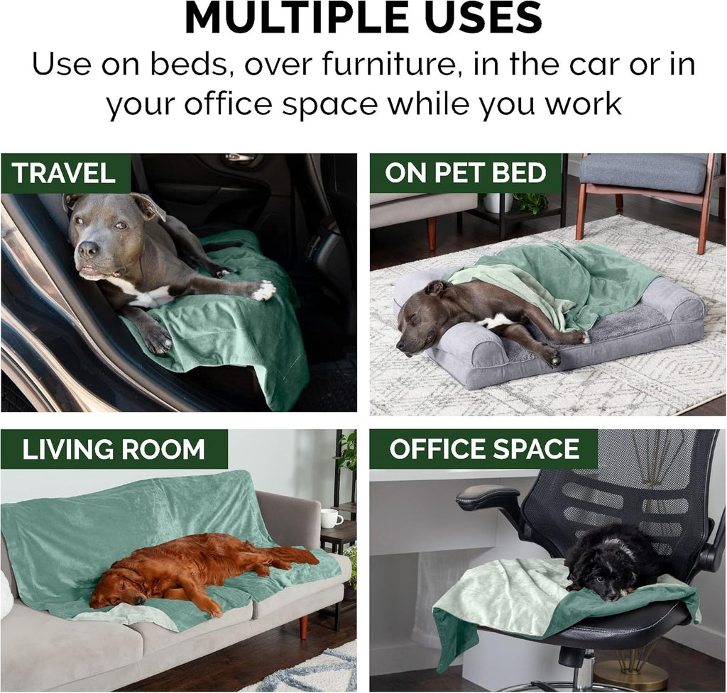 Furhaven Extra Large Waterproof Velvet Throw Blanket for Dogs and Indoor Cats, Washable Two-Tone Design in Celadon Green