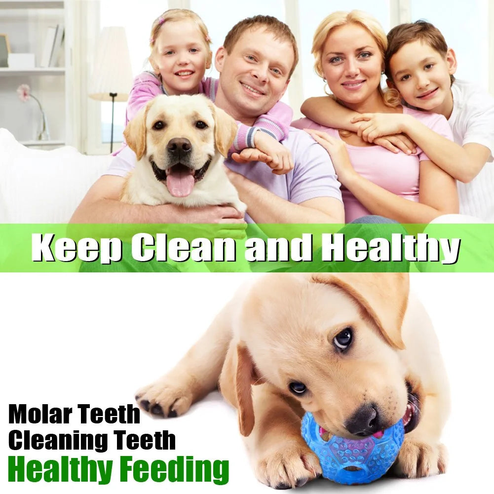Dog Pet Food Treat Feeder Chew Toys - Tooth Cleaning Ball, Dispensing Toy for Small Medium Dog Puppy - Squeaky Balls, Blue