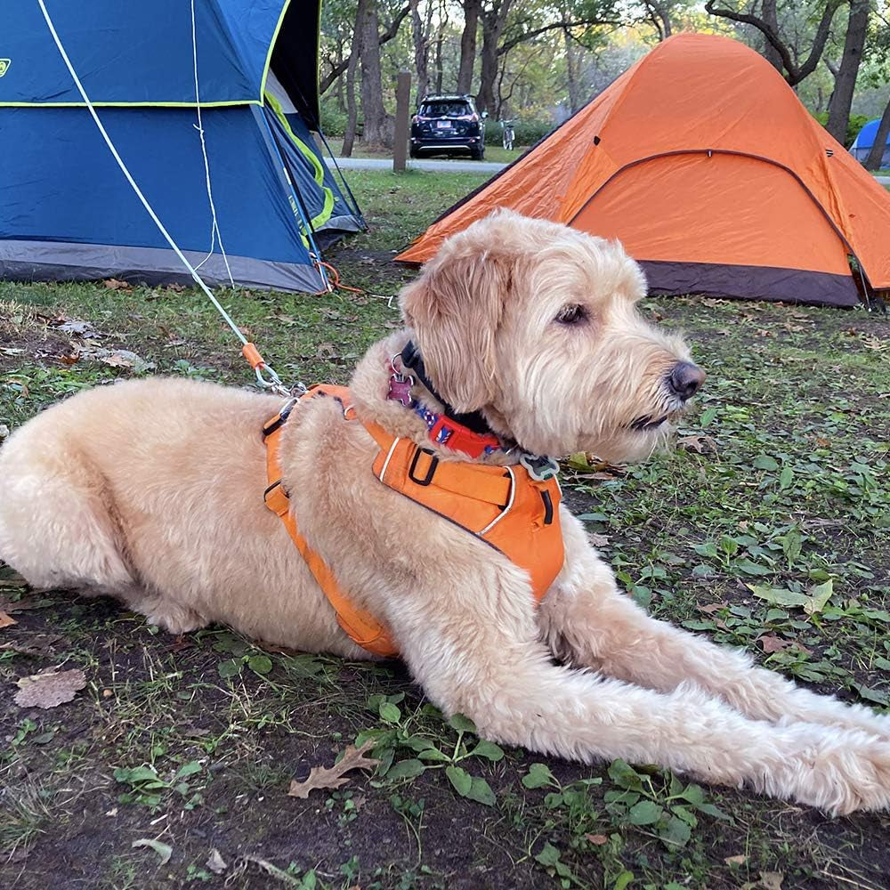 BV Heavy-Duty 25-Foot Dog Tie-Out Cable for Dogs up to 90 Pounds - Reflective, Rust-Resistant with Quick Release Swivel Clips and 360° Rotating Clasp - Tangle-Free Runner for Yard (Silver, Single)